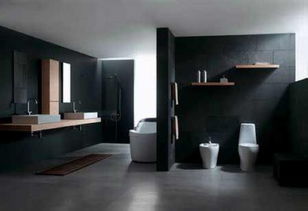 家居装修必读指南 如何选购瓷砖与卫生洁具