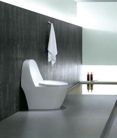 罗芬卫浴R8385坐便器价格、图片及参数详解