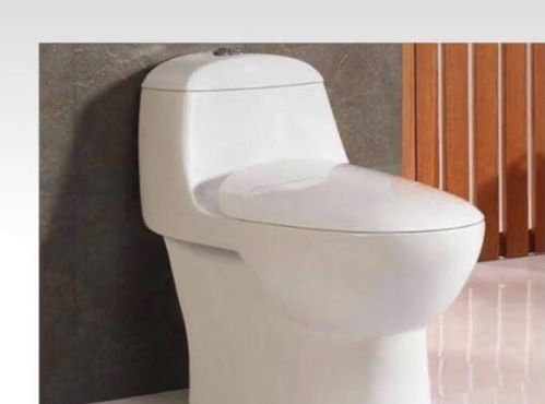 十年卫浴销售专家揭秘 选对马桶，洁净厕所长久无忧